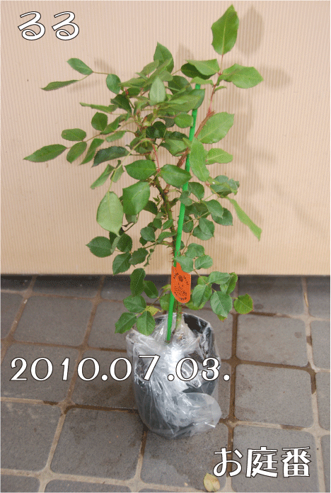 f:id:rotling:20100703201029g:image