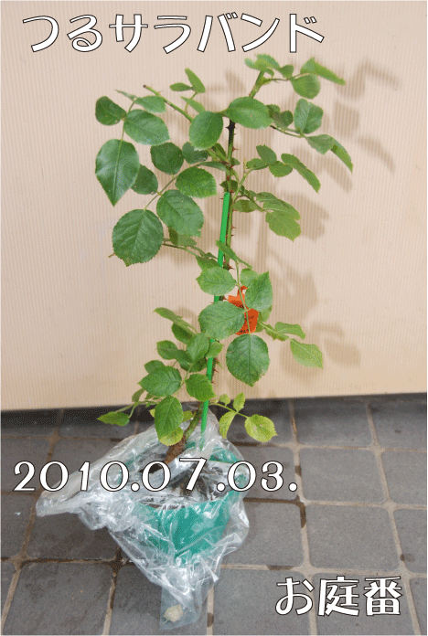 f:id:rotling:20100703201030g:image