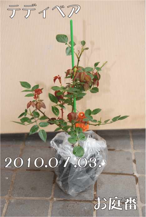 f:id:rotling:20100703201031g:image