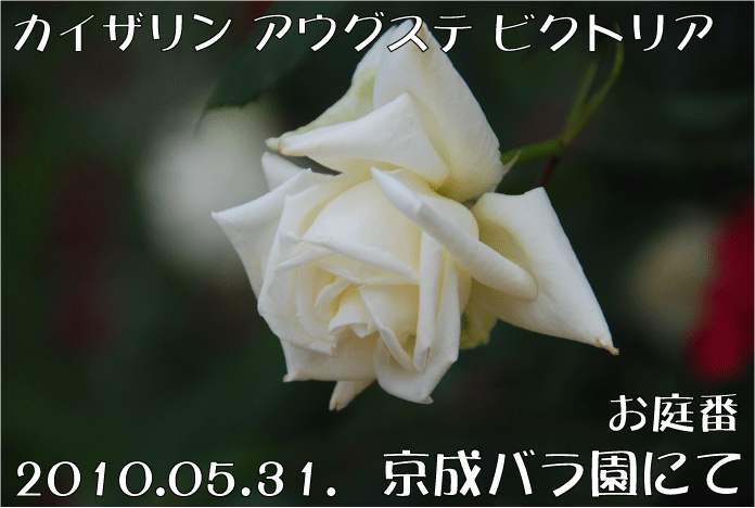 f:id:rotling:20100705111937g:image