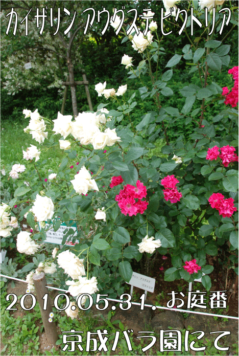 f:id:rotling:20100705111938g:image
