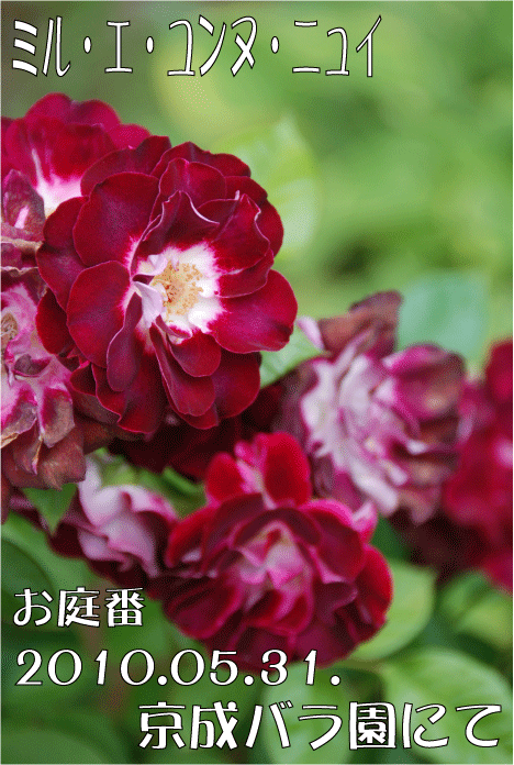 f:id:rotling:20100707172956g:image