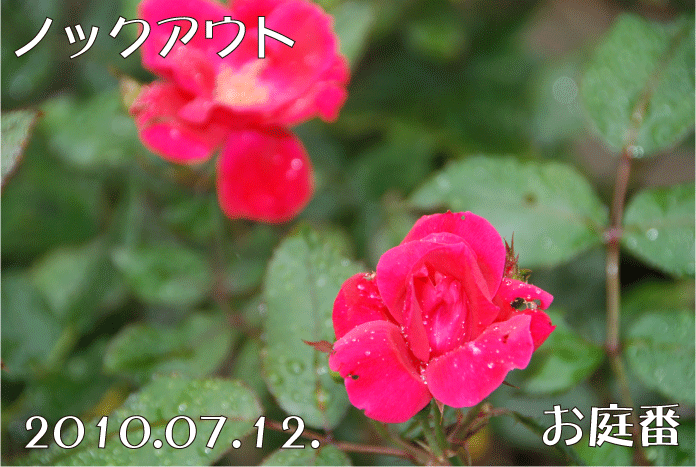 f:id:rotling:20100712143341g:image