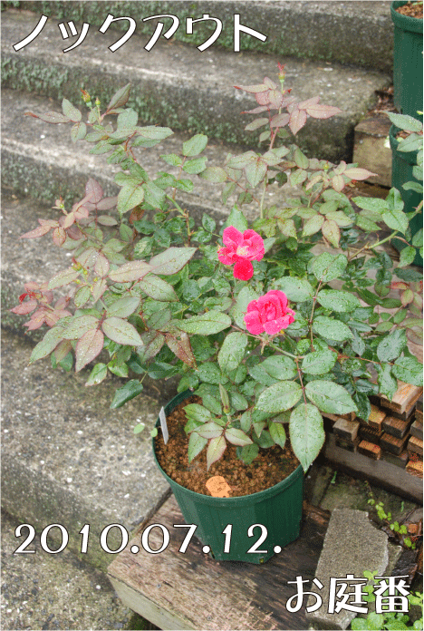 f:id:rotling:20100712143342g:image