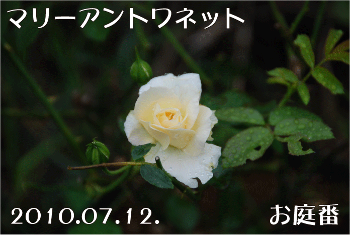 f:id:rotling:20100712143343g:image