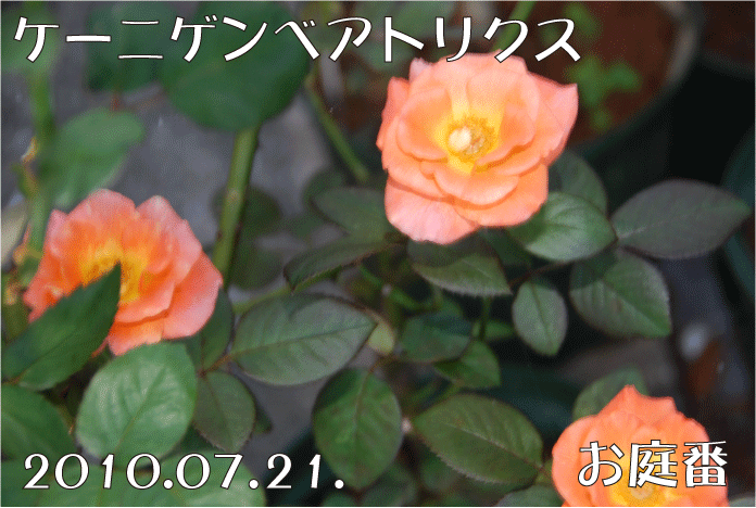 f:id:rotling:20100721073146g:image