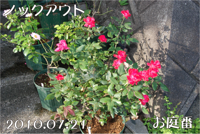 f:id:rotling:20100721073147g:image