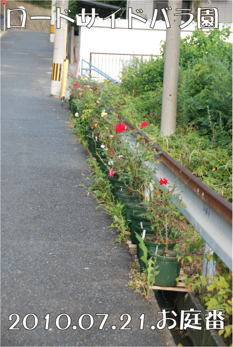 f:id:rotling:20100721073148g:image
