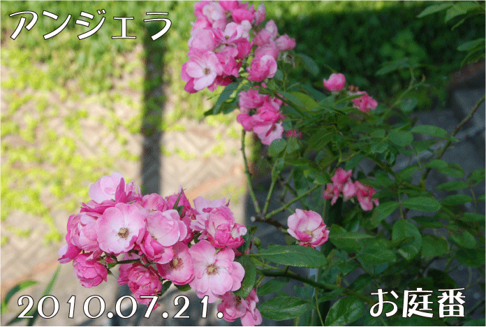 f:id:rotling:20100722132039g:image
