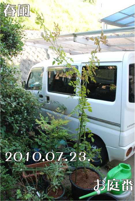 f:id:rotling:20100723184817g:image