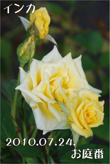 f:id:rotling:20100724233527g:image