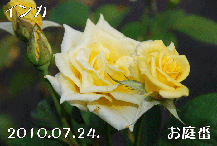 f:id:rotling:20100724233528g:image