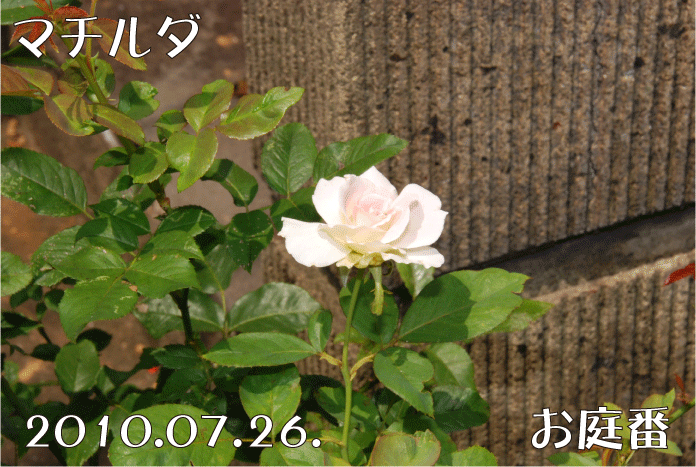 f:id:rotling:20100726134019g:image