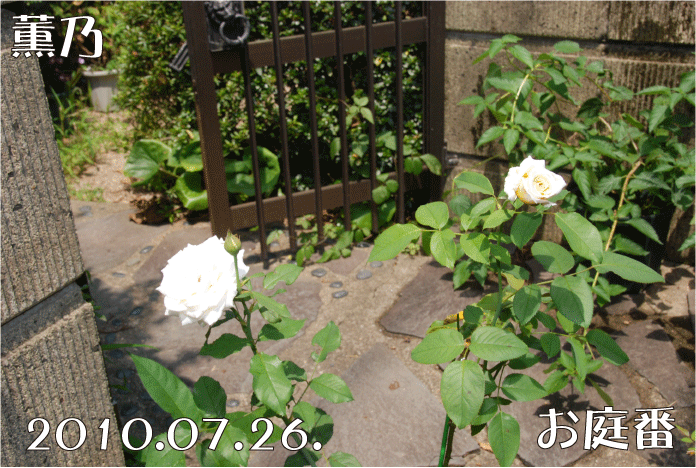 f:id:rotling:20100726134025g:image