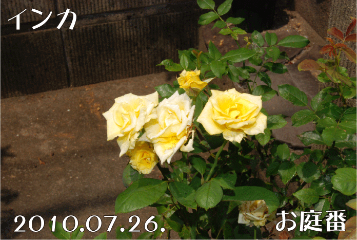 f:id:rotling:20100726134026g:image
