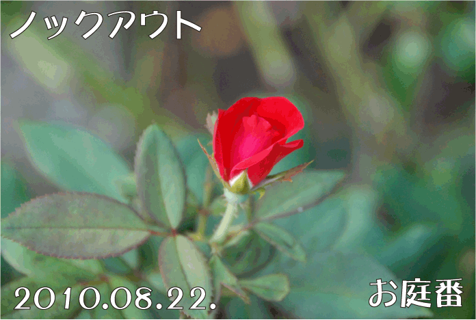 f:id:rotling:20100822131736g:image