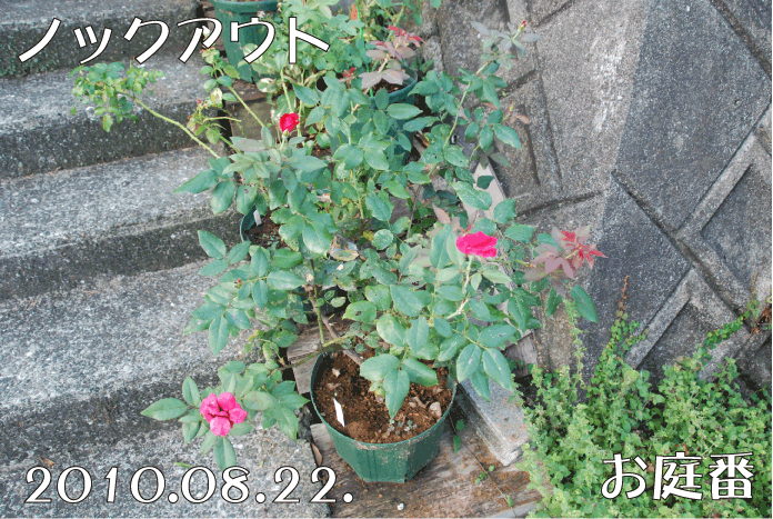 f:id:rotling:20100822131737g:image