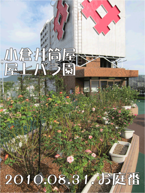 f:id:rotling:20100831191752g:image f:id:rotling:20100831191752g:image