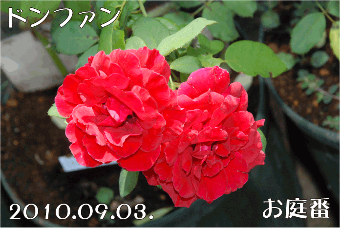 f:id:rotling:20100903144117g:image f:id:rotling:20100903144117g:image