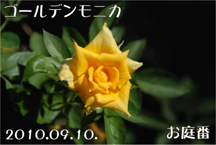 f:id:rotling:20100910141958g:image