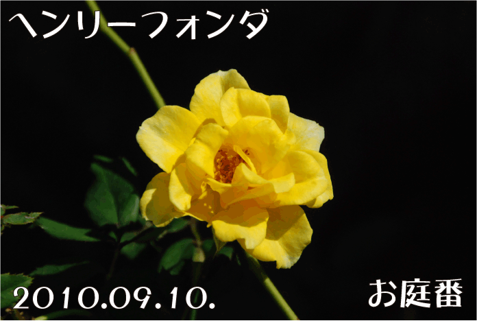 f:id:rotling:20100910141959g:image