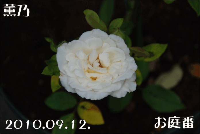 f:id:rotling:20100912182307g:image f:id:rotling:20100912182307g:image