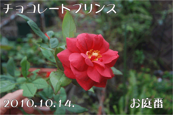 f:id:rotling:20101014173116g:image
