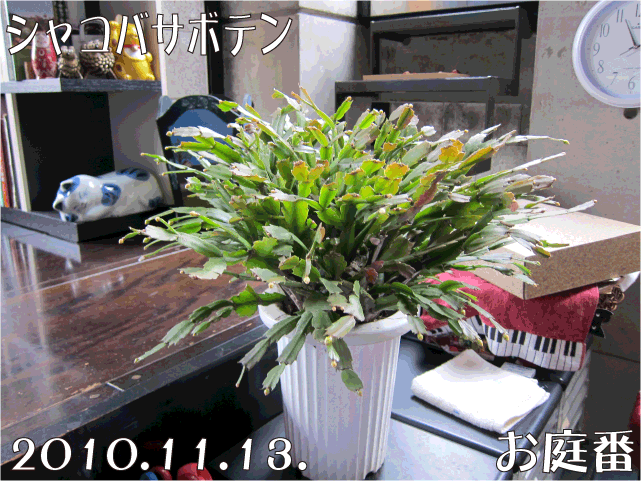 f:id:rotling:20101113122118g:image