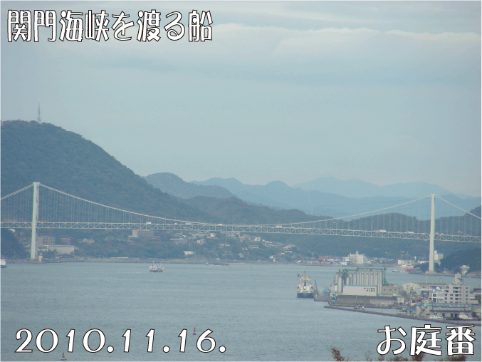 f:id:rotling:20101116142716g:image