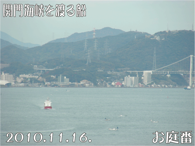 f:id:rotling:20101116142717g:image