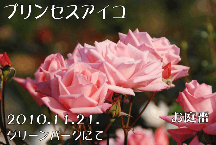 f:id:rotling:20101121232155g:image