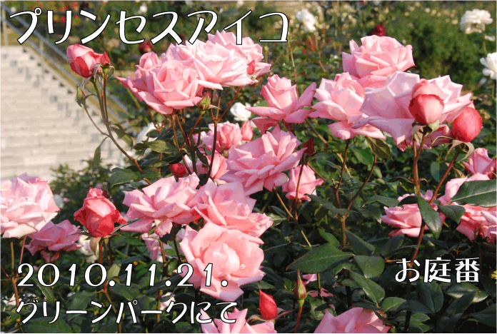 f:id:rotling:20101121232156g:image