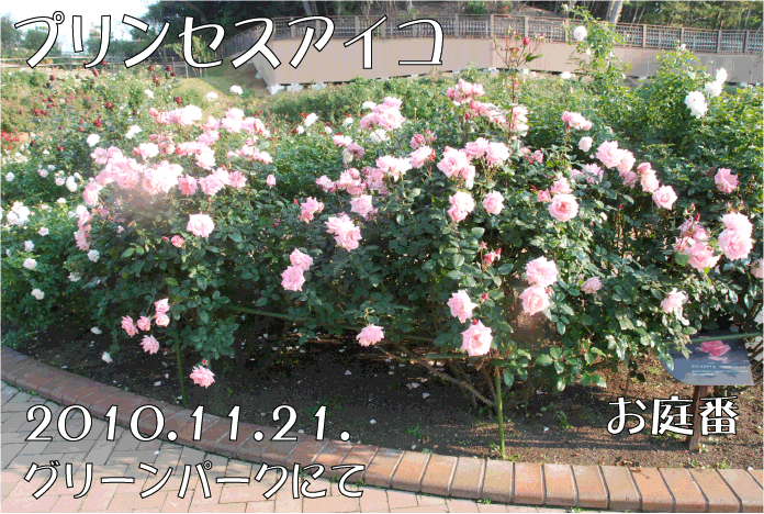 f:id:rotling:20101121232157g:image