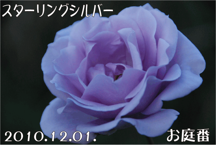 f:id:rotling:20101201180553g:image