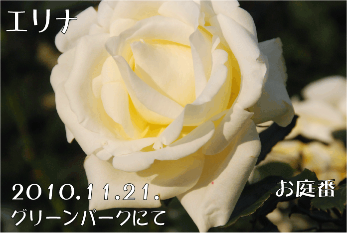 f:id:rotling:20101202222622g:image