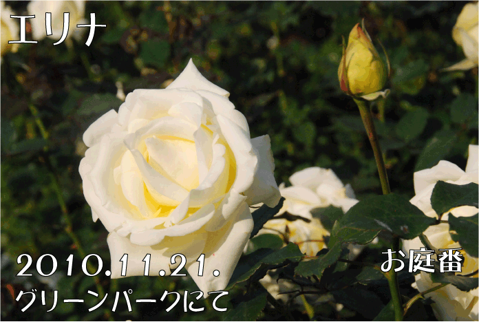 f:id:rotling:20101202222623g:image