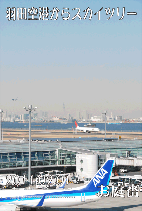 羽田空港　スカイツリー