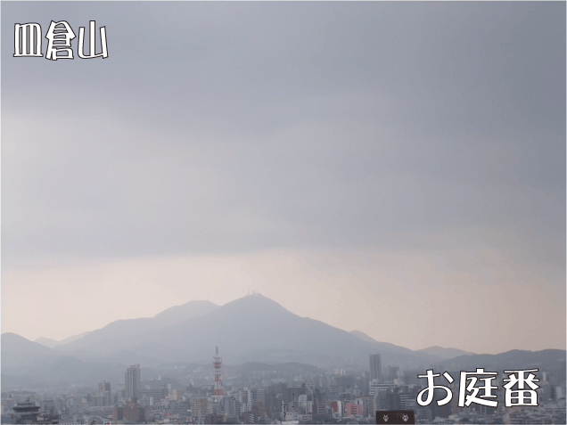 f:id:rotling:20110209141214g:image