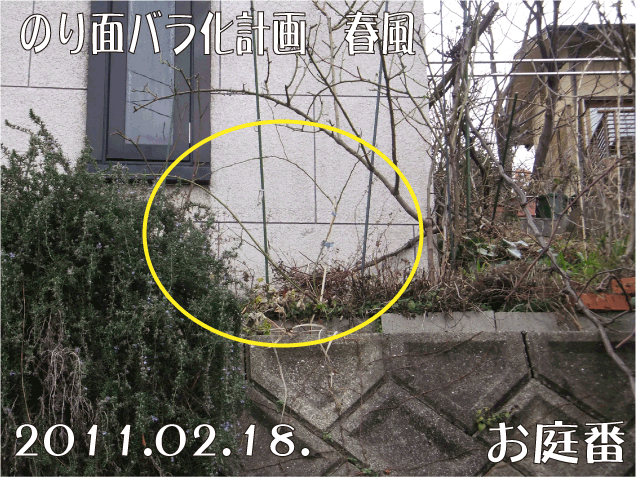 f:id:rotling:20110218164712g:image