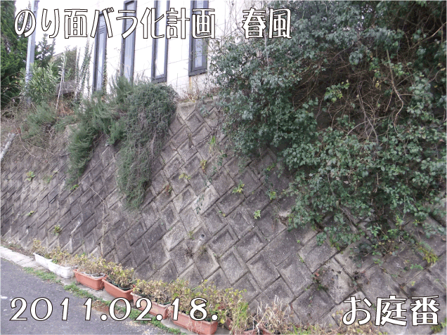 f:id:rotling:20110218164713g:image