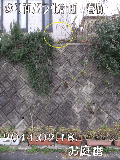 f:id:rotling:20110218164714g:image