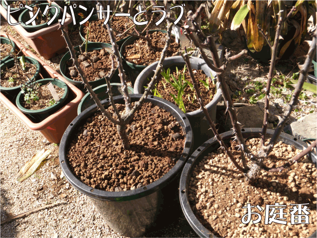 f:id:rotling:20110222204440g:image