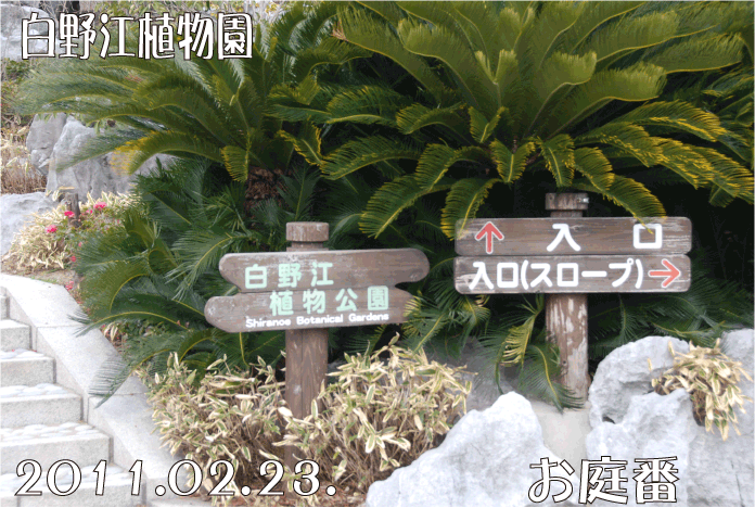 f:id:rotling:20110223194248g:image f:id:rotling:20110223194248g:image