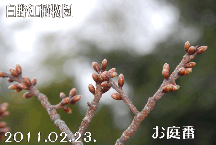 f:id:rotling:20110223194249g:image f:id:rotling:20110223194249g:image