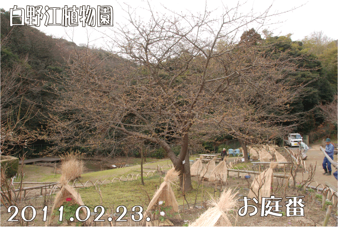 f:id:rotling:20110223194250g:image f:id:rotling:20110223194250g:image
