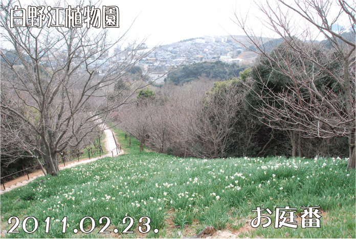 f:id:rotling:20110223194251g:image f:id:rotling:20110223194251g:image