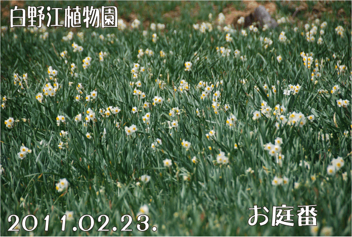 f:id:rotling:20110223194254g:image f:id:rotling:20110223194254g:image