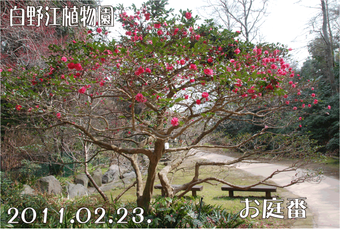 f:id:rotling:20110223194255g:image f:id:rotling:20110223194255g:image