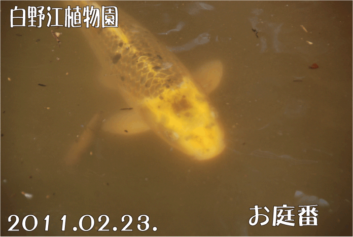f:id:rotling:20110223194257g:image f:id:rotling:20110223194257g:image
