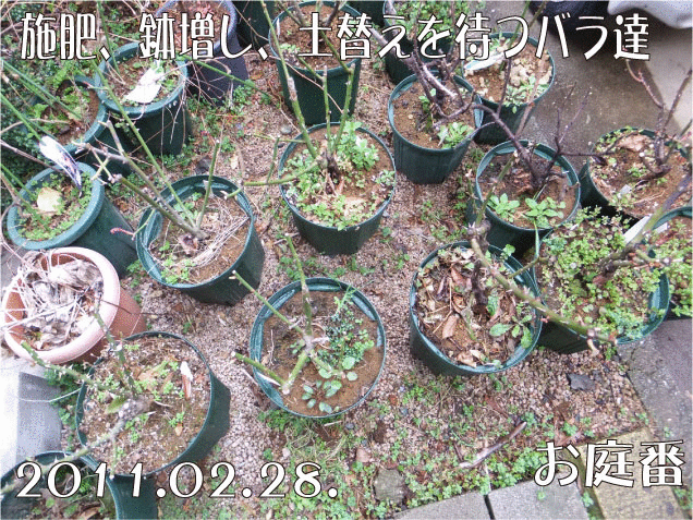 f:id:rotling:20110301105420g:image